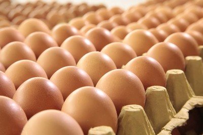 海口鸡蛋检测价格,鸡蛋检测机构,鸡蛋检测项目,鸡蛋常规检测